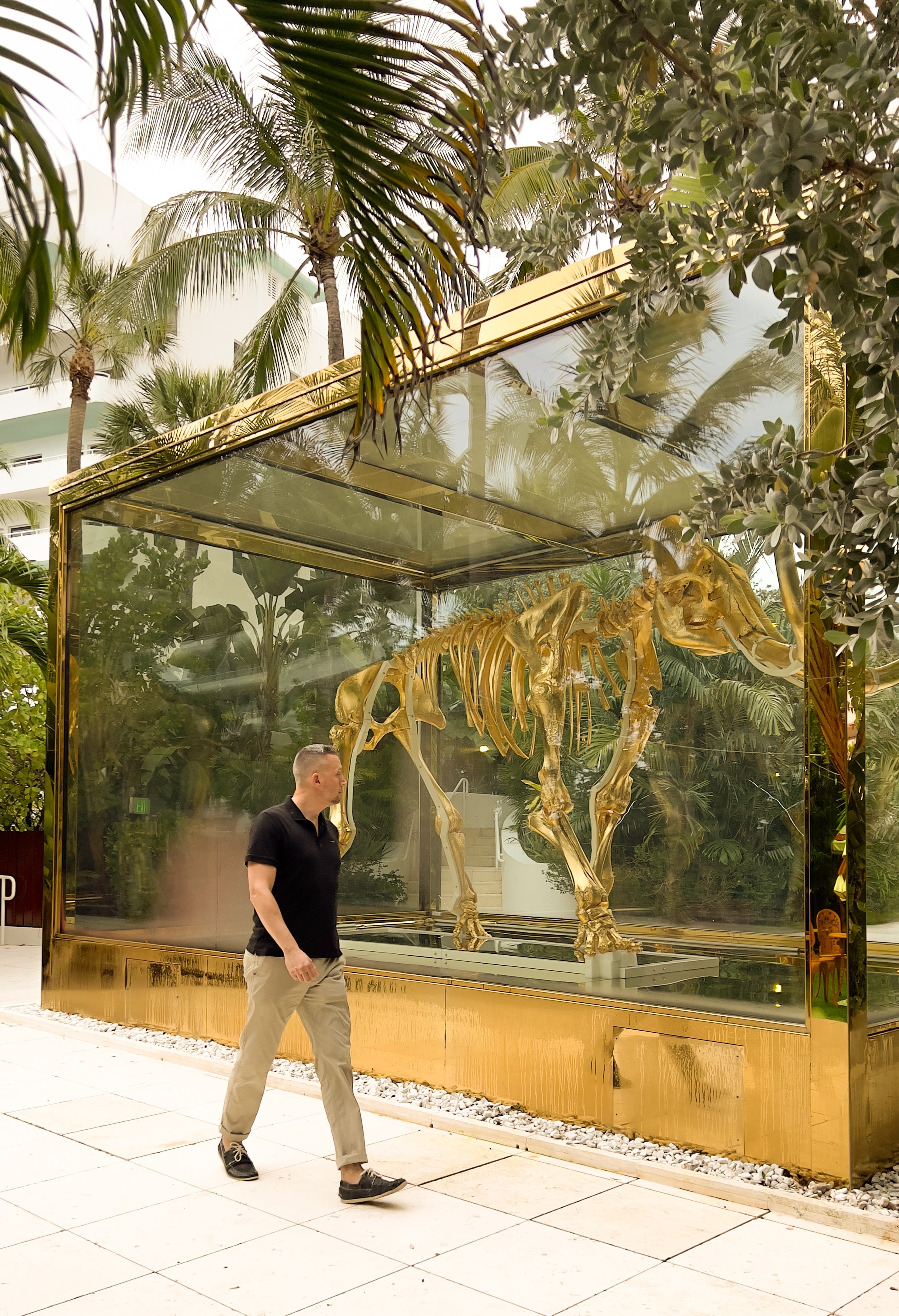 Marcus Osmun walking past a gold dinosaur skeleton sculpture in a tropical courtyard