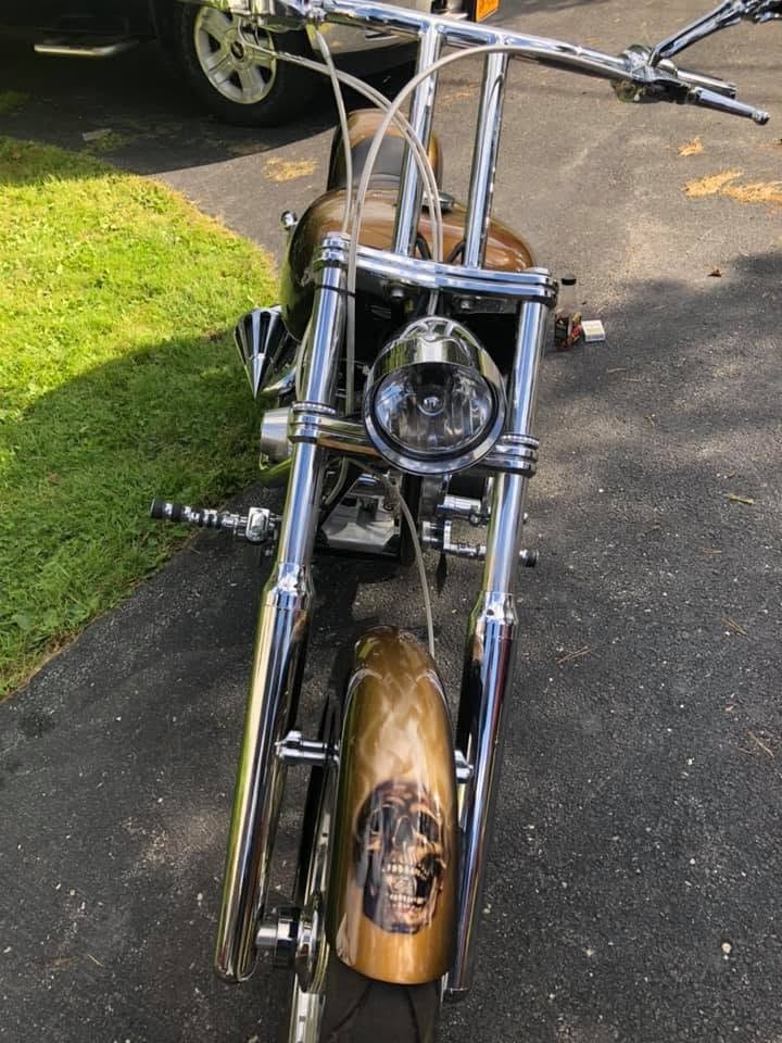 Ryan's Chopper — full bike straight-on front view, skull on fender, gold and brown metallic