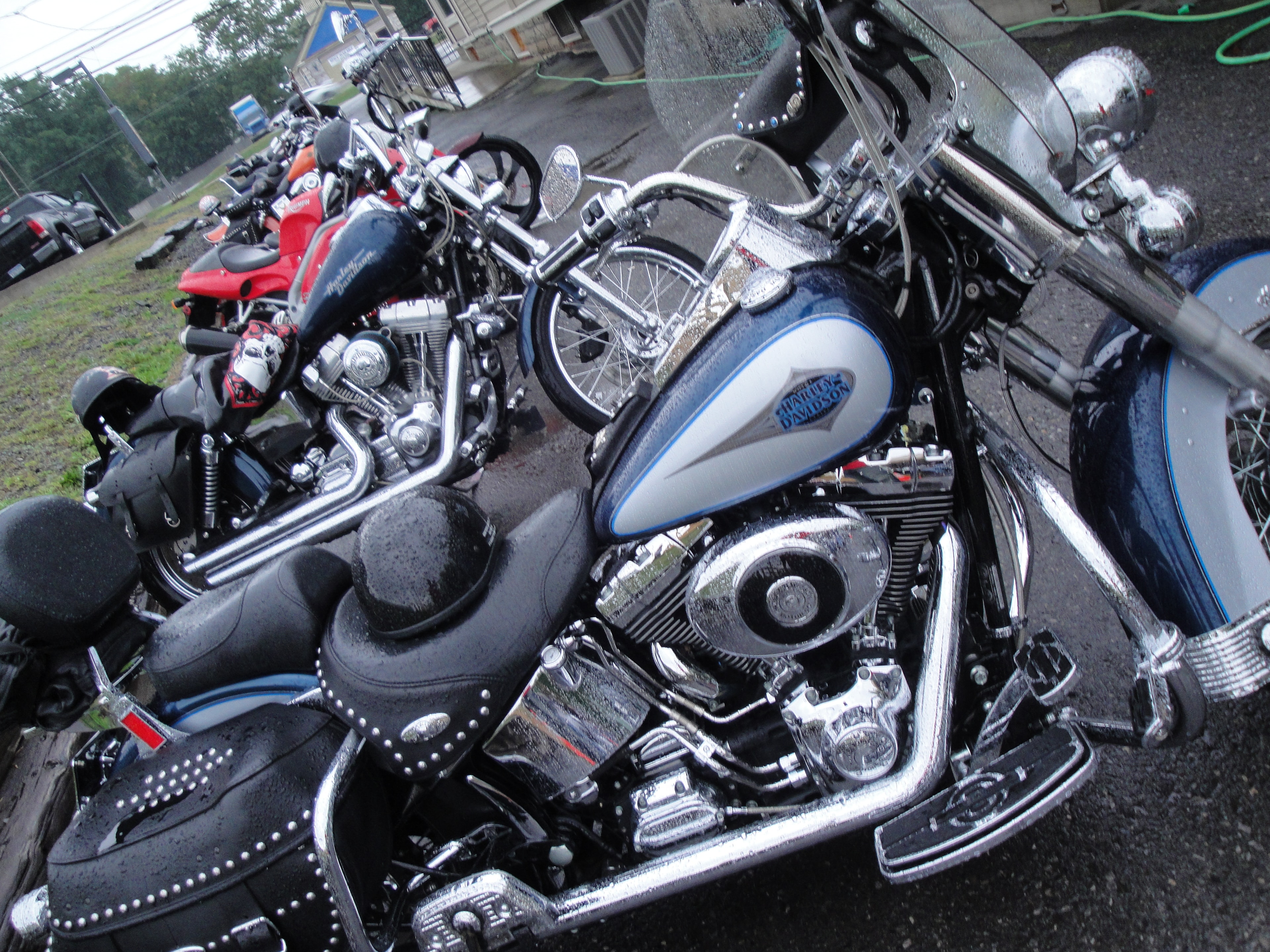Higie's Iron Horse Saloon Summer BBQ Series — Harley-Davidson motorcycles lined up in wet parking lot