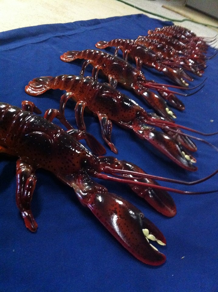 Crawdads row on blue
