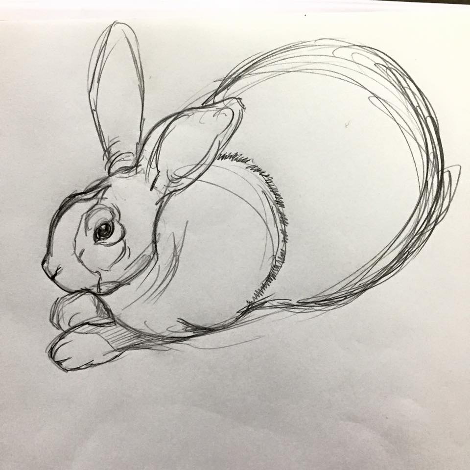 Sketch