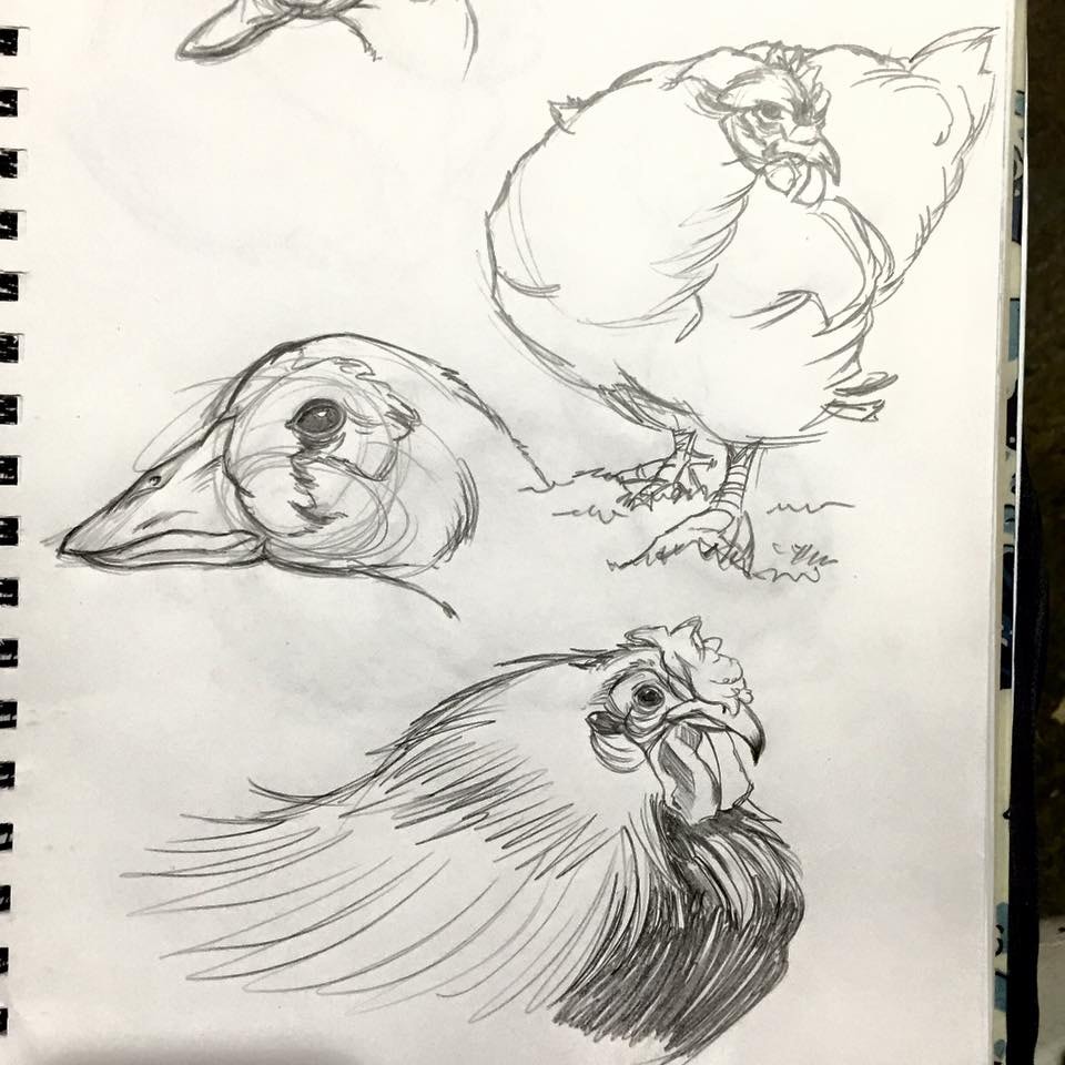 Sketch