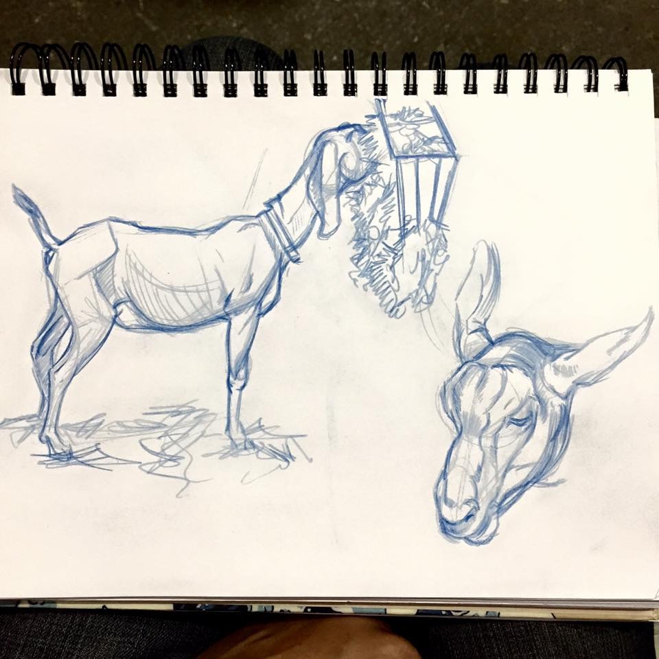 Sketch