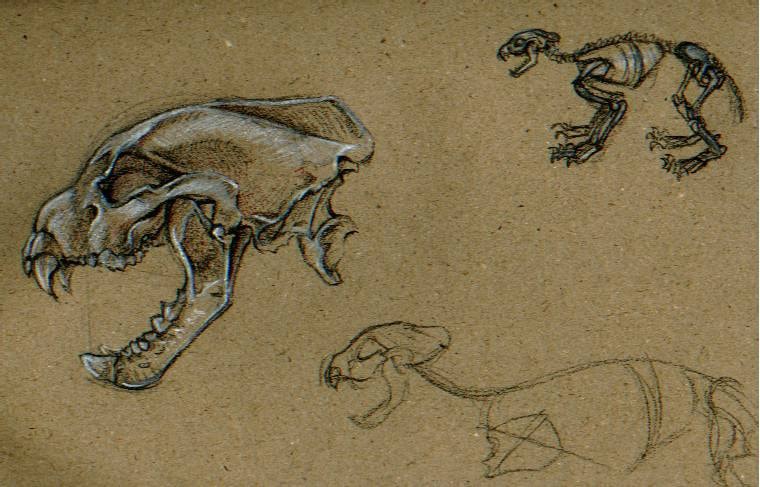 Sketch