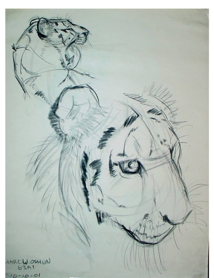 Sketch