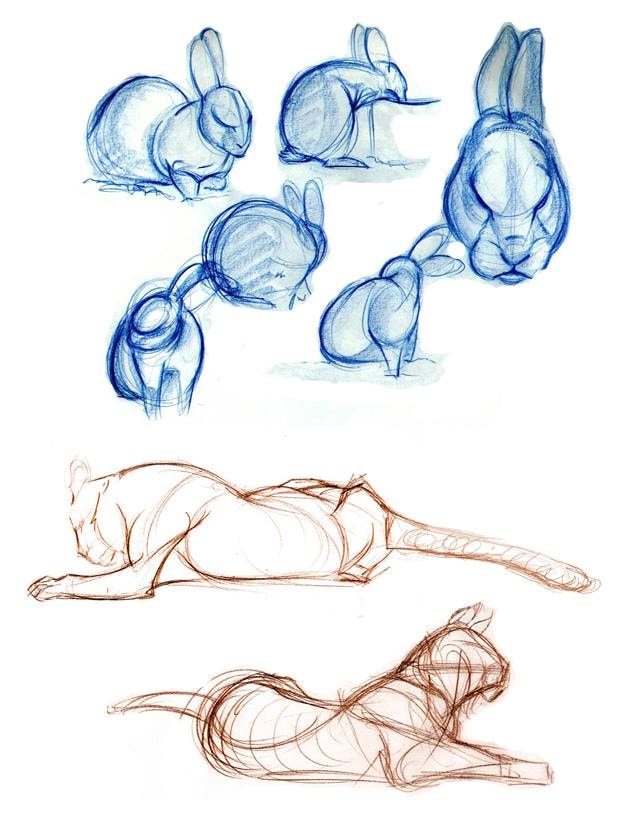 Sketch