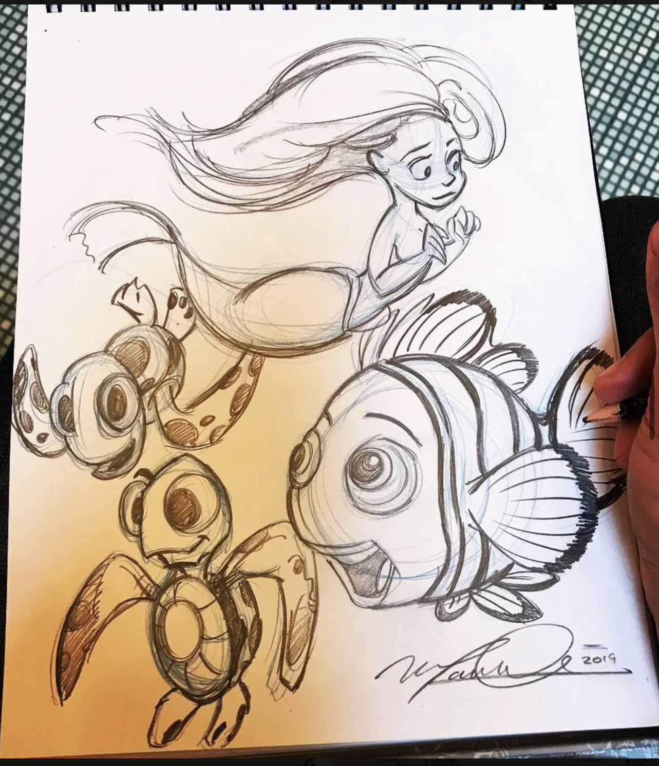 Sketch