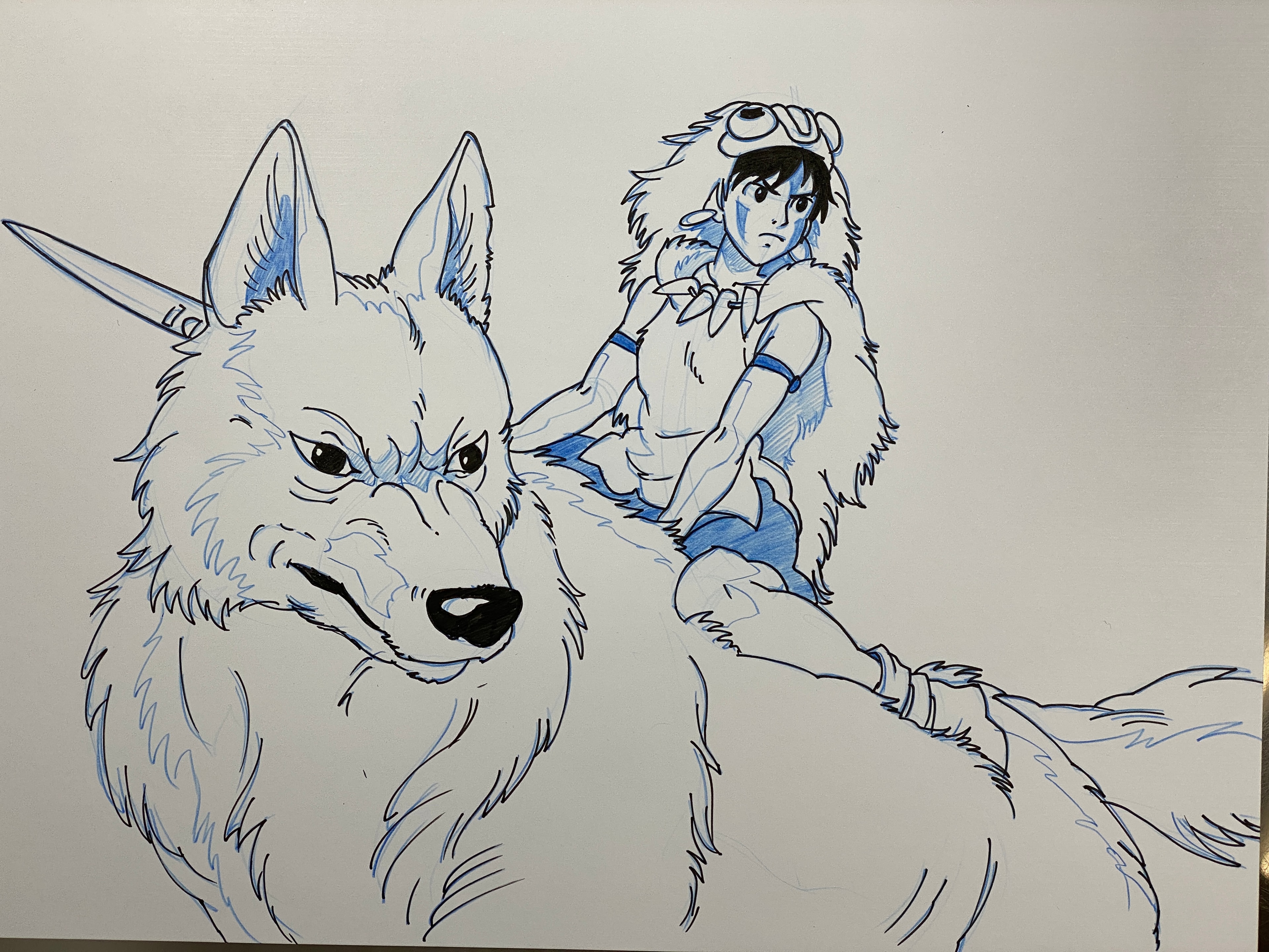 Sketch