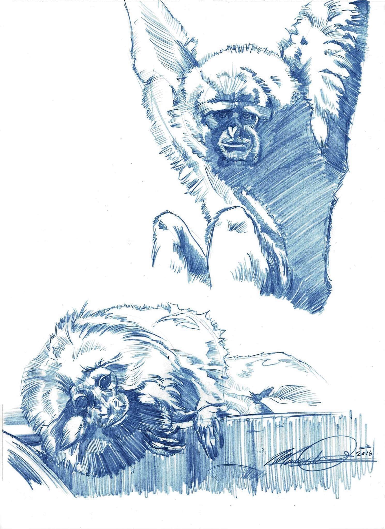 Sketch
