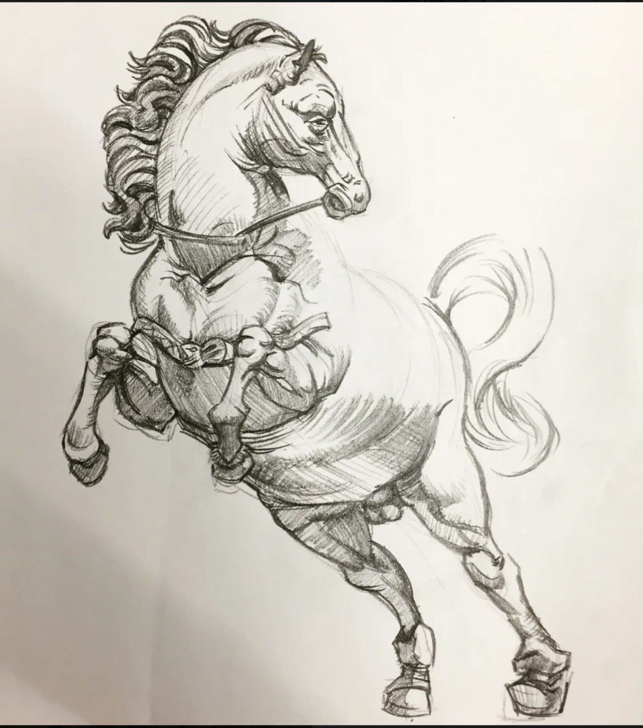 Sketch