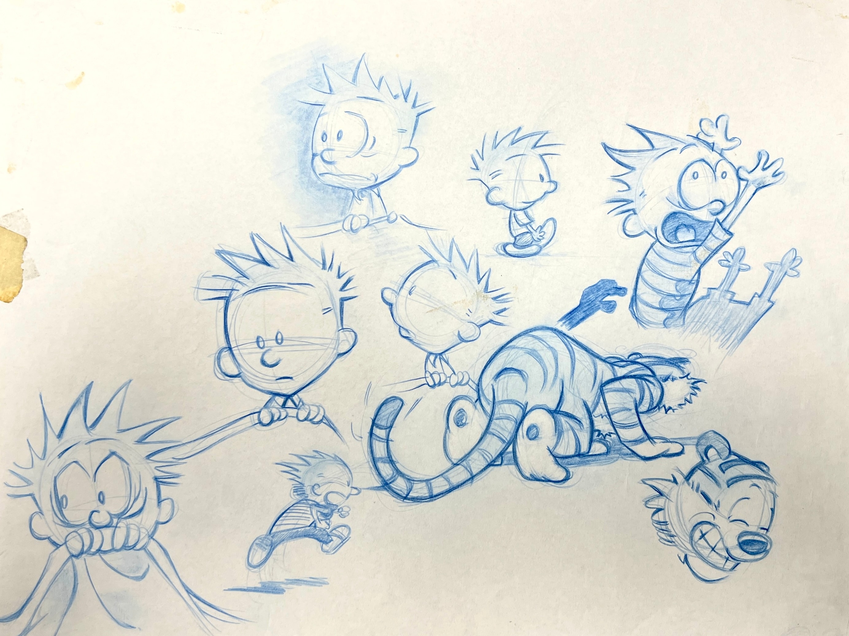 Sketch