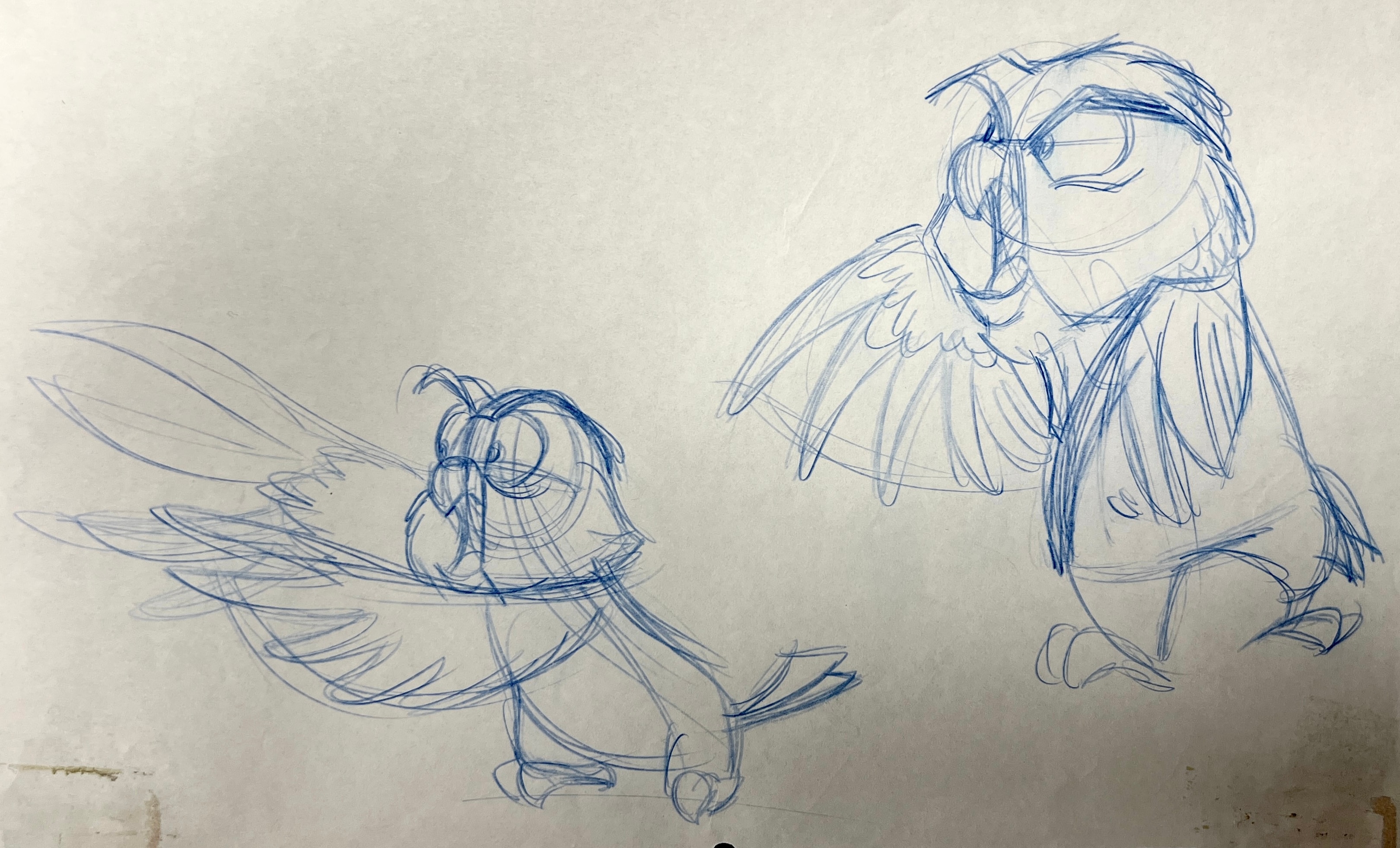 Sketch