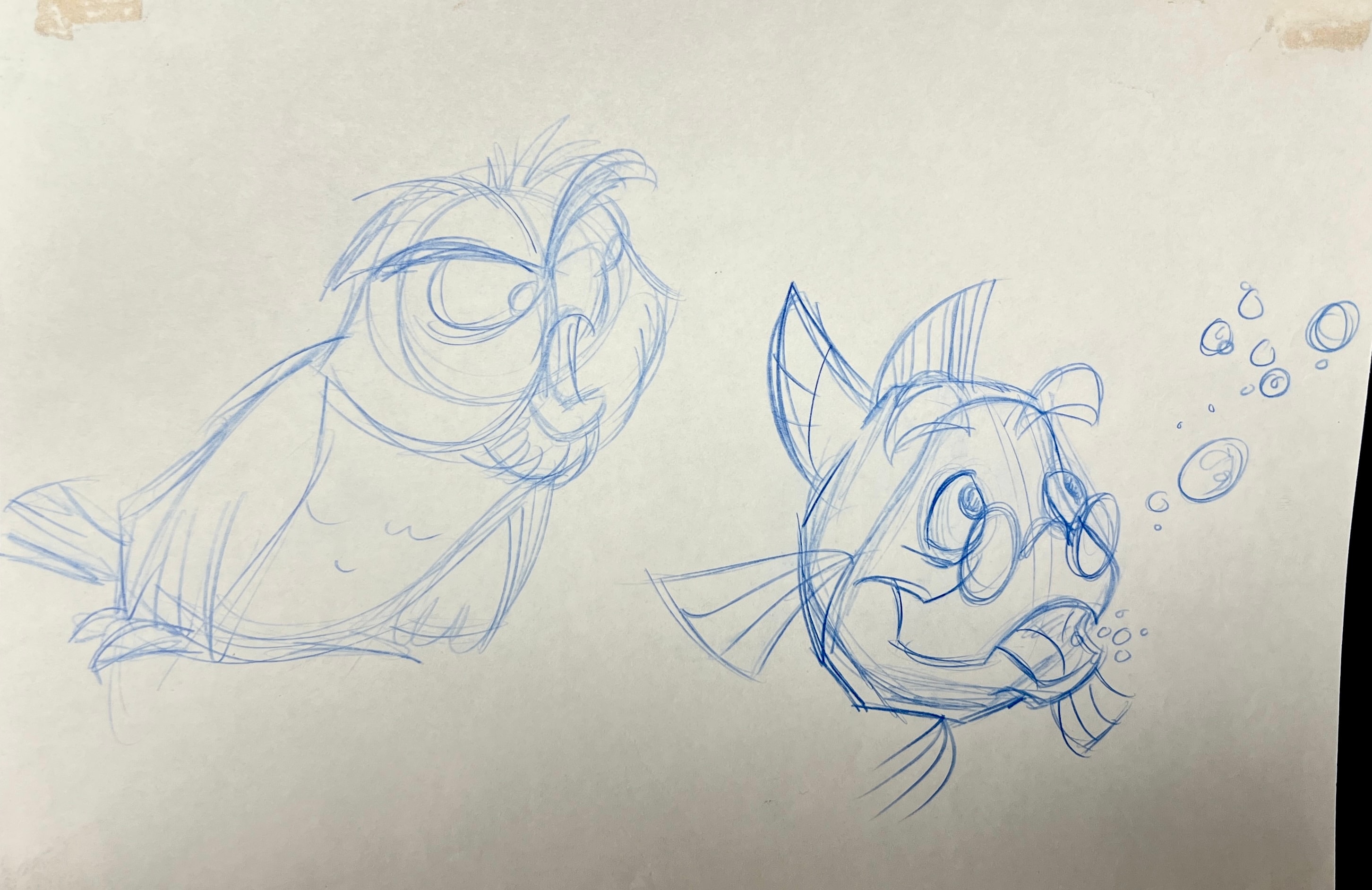Sketch